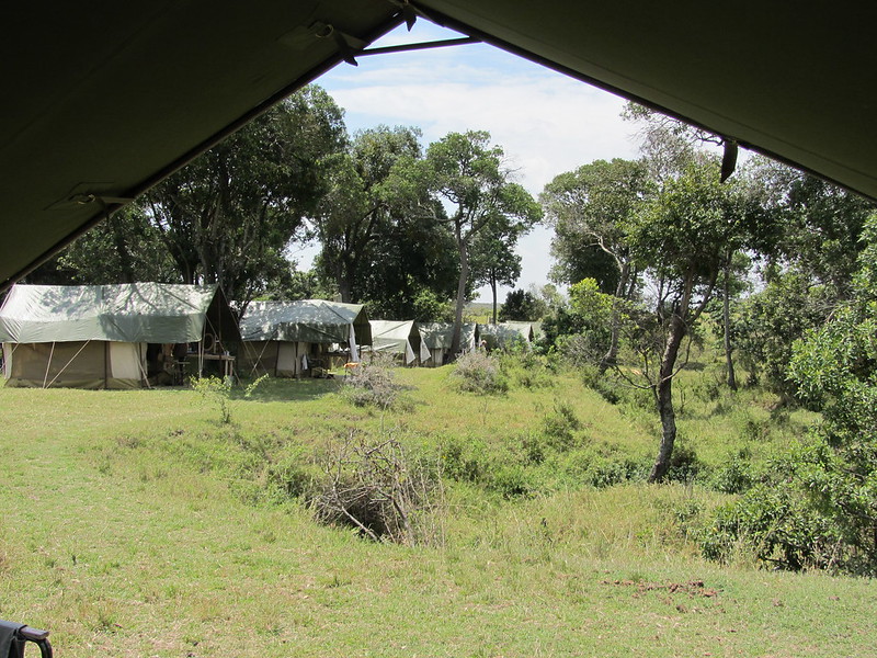 Safaris Unlimited Masai Mara
