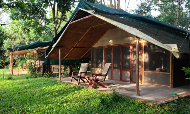 Wilderness camp